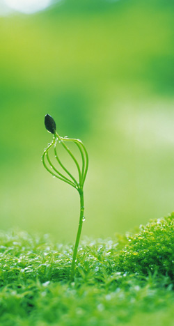 ファッションプロデュサー・服飾戦略家　鴫原弘子の 提唱する「プレゼンス・マネジメント＝服飾戦略」